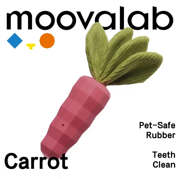 The company logo "moovalab" is displayed at the top.The Chewer toy features a stylized carrot-shaped toy in pink with a blocky, pixelated texture. The carrot has vibrant green leafy tops made of a textured material.