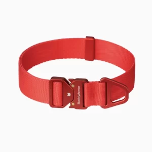 This bold red dog collar combines style and functionality with its bright color and durable design. Made from high-quality materials, it features a secure buckle and a sturdy D-ring for leash attachment. Perfect for active dogs, this collar adds a touch of personality while ensuring safety during every adventure.