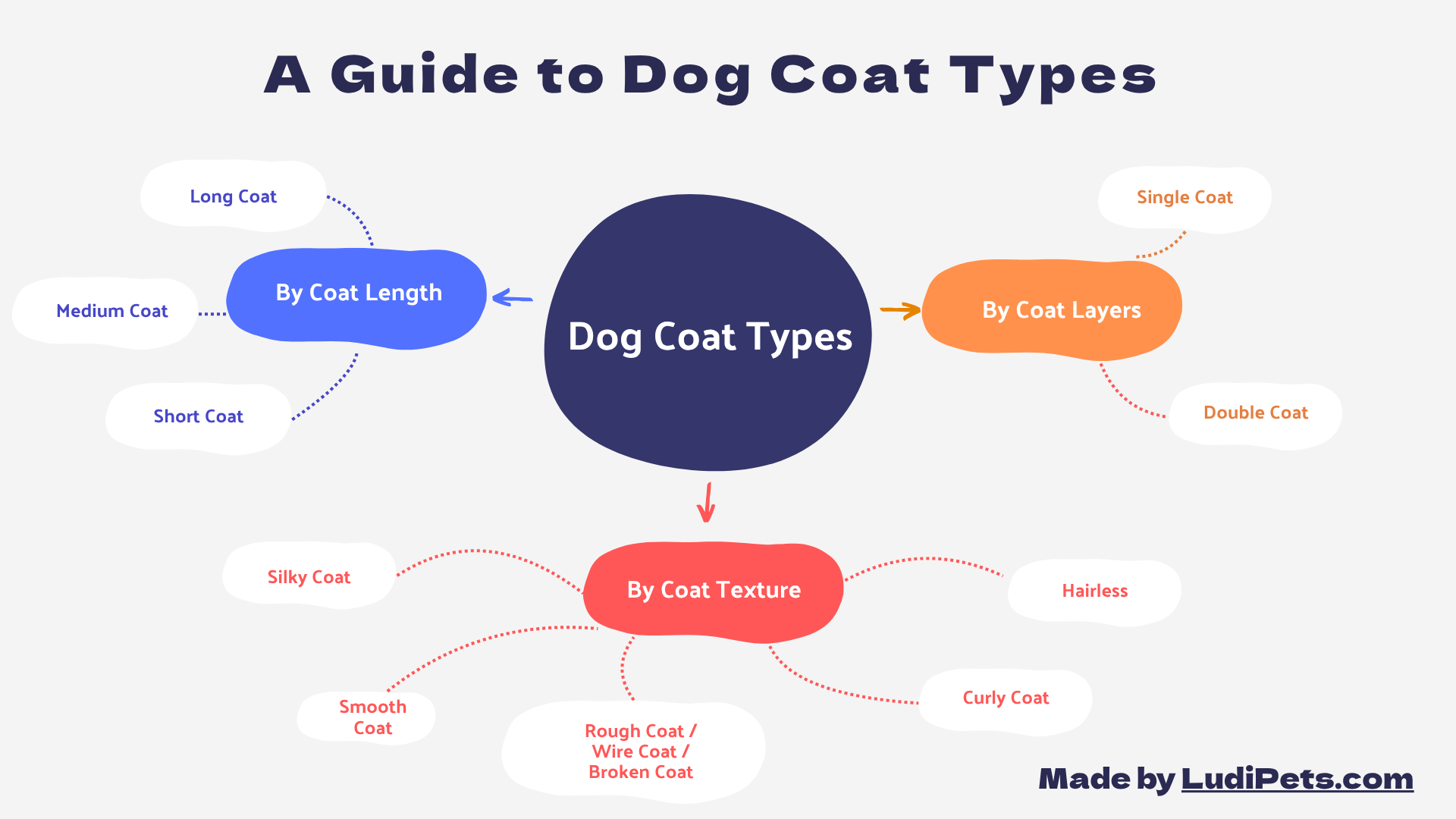 This is an infographic titled "A Guide to Dog Coat Types," designed as a mind map. At the center, a large navy circle says "Dog Coat Types." Three arrows point from it to different classification categories. The first, "By Coat Length," connects to "Long Coat," "Medium Coat," and "Short Coat." The second, "By Coat Layers," leads to "Single Coat" and "Double Coat." The third, "By Coat Texture," branches out to five types: "Silky," "Smooth," "Rough/Wire/Broken," "Curly," and "Hairless." This flowchart provides a clear visual breakdown of every dog coat type.