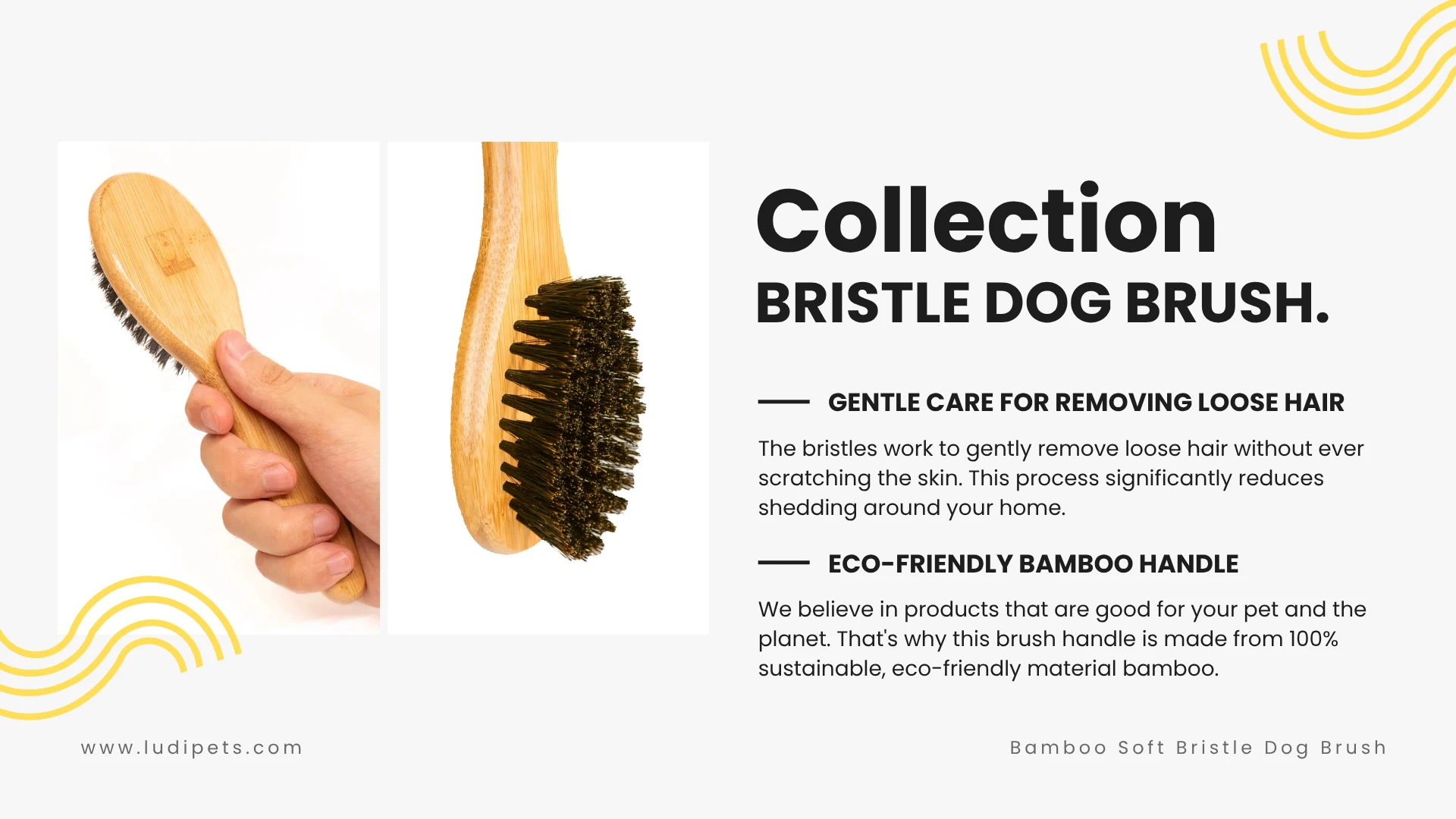 This infographic explains why this is the perfect soft bristle brush for dogs. It showcases the gentle bristles that reduce shedding without scratching and the sustainable bamboo handle, designed for an ergonomic grip, making grooming a positive experience for you and your pet.
