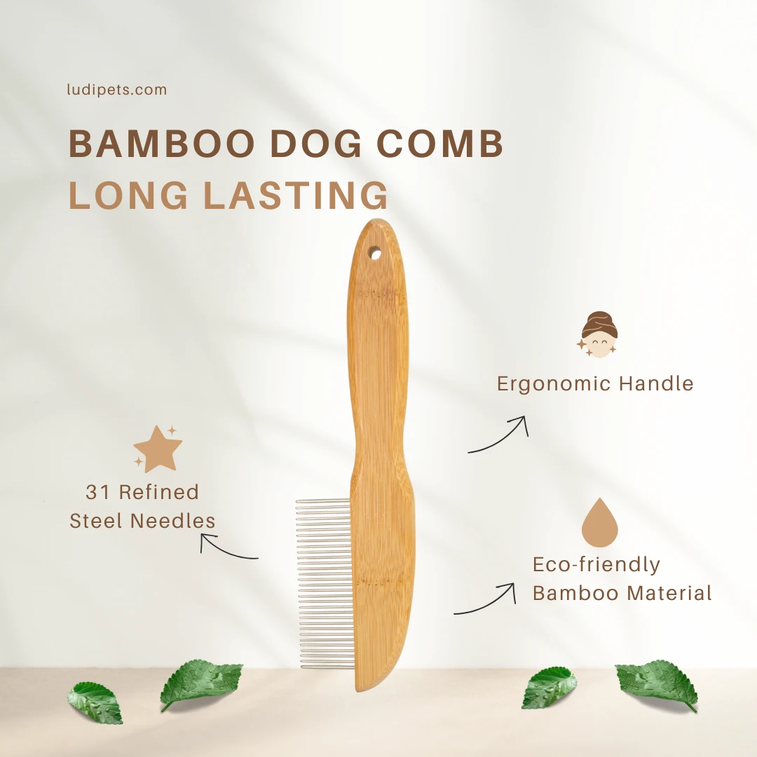 This infographic showcases our long-lasting bamboo dog grooming comb. It highlights key features like 31 refined steel needles for effective detangling, an ergonomic handle for comfort, and eco-friendly bamboo material. This premium tool ensures a comfortable and sustainable grooming experience for you and your pet.