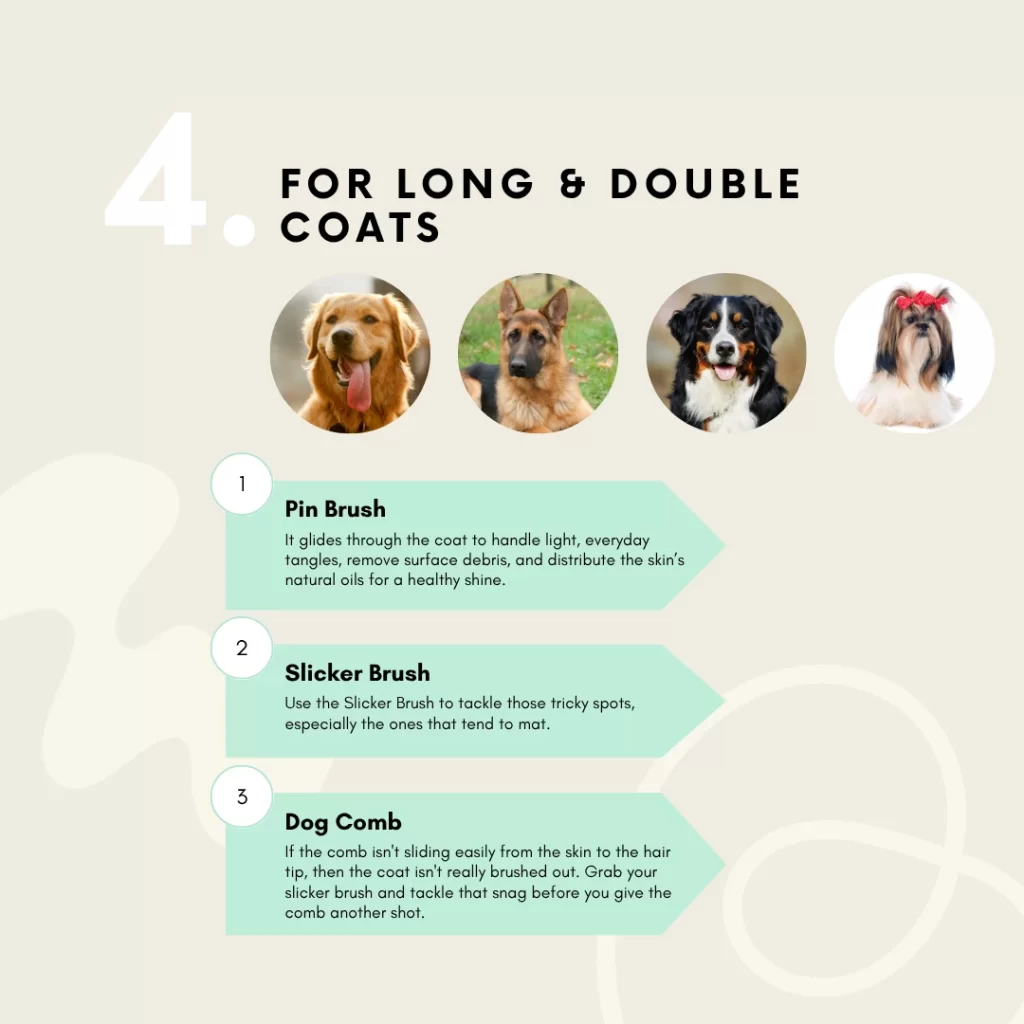 Learn which dog grooming tool is best for long and double-coated breeds like Golden Retrievers. This guide recommends a pin brush for daily tangles, a slicker brush for mats, and a dog comb for a final check, ensuring a healthy, beautiful, and well-maintained coat.