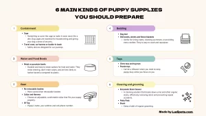 An infographic titled "6 Main Kinds of Puppy Supplies You Should Prepare." The graphic lists six categories of essential puppy supplies.Each category includes a simple icon. The infographic is made by Ludipets.com.