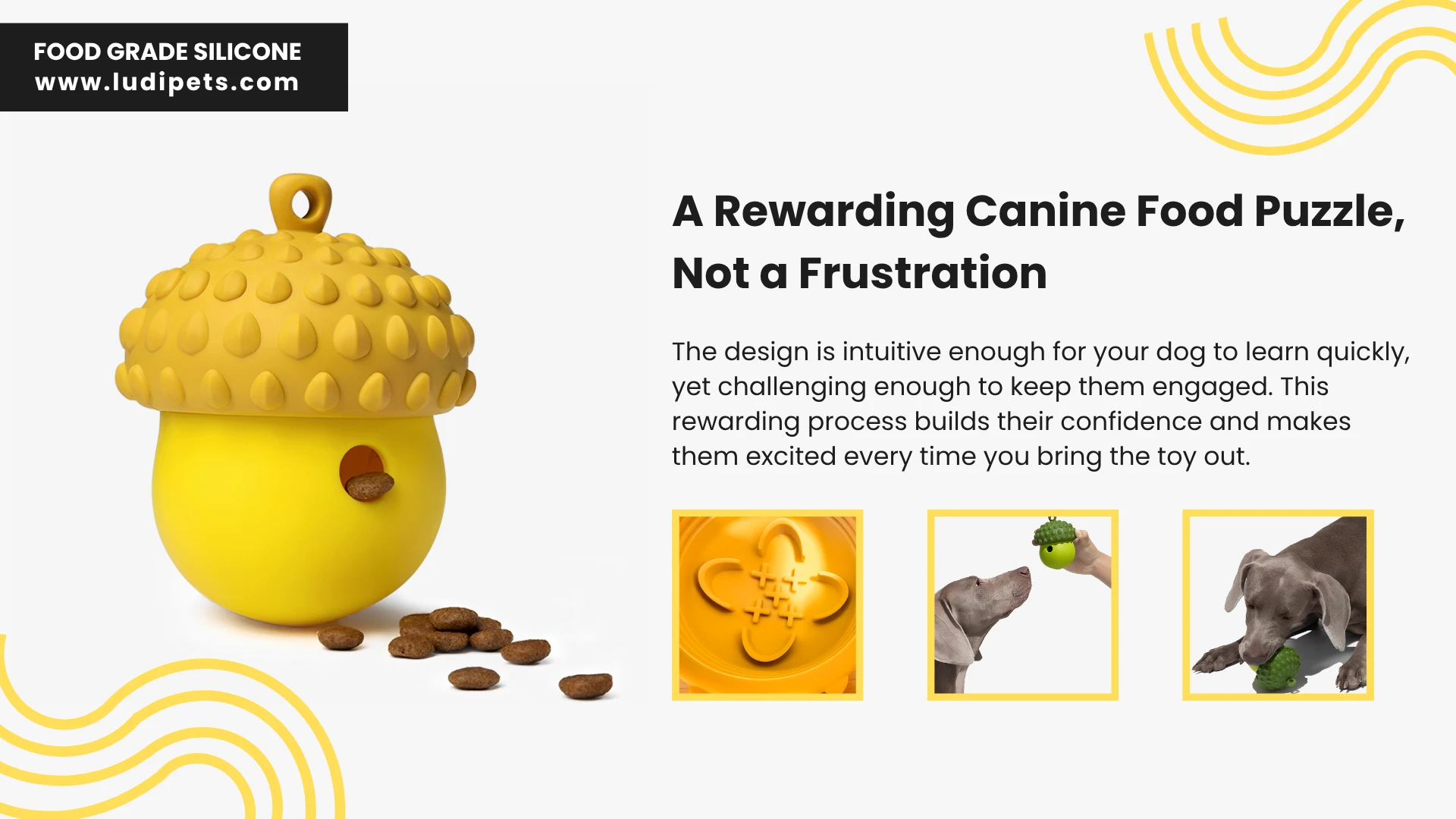 The yellow acorn dog toy is displayed as a rewarding food puzzle, with treats spilling out to show its function. The design is intuitive for dogs to learn yet challenging enough to keep them engaged, building their confidence and making them excited for every playtime.