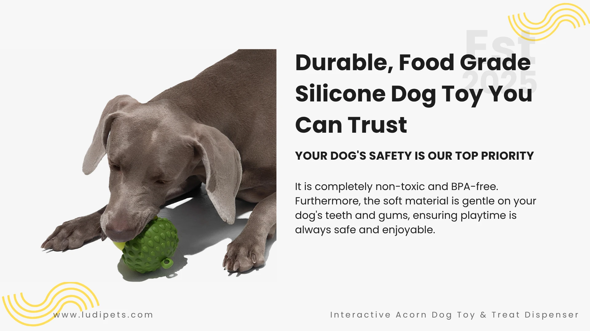 A Weimaraner dog chews on the green acorn dog toy, illustrating its durability and safety. The text emphasizes that this non-toxic, BPA-free toy is made from gentle, food-grade silicone, ensuring that playtime is always a safe and enjoyable experience for any dog.