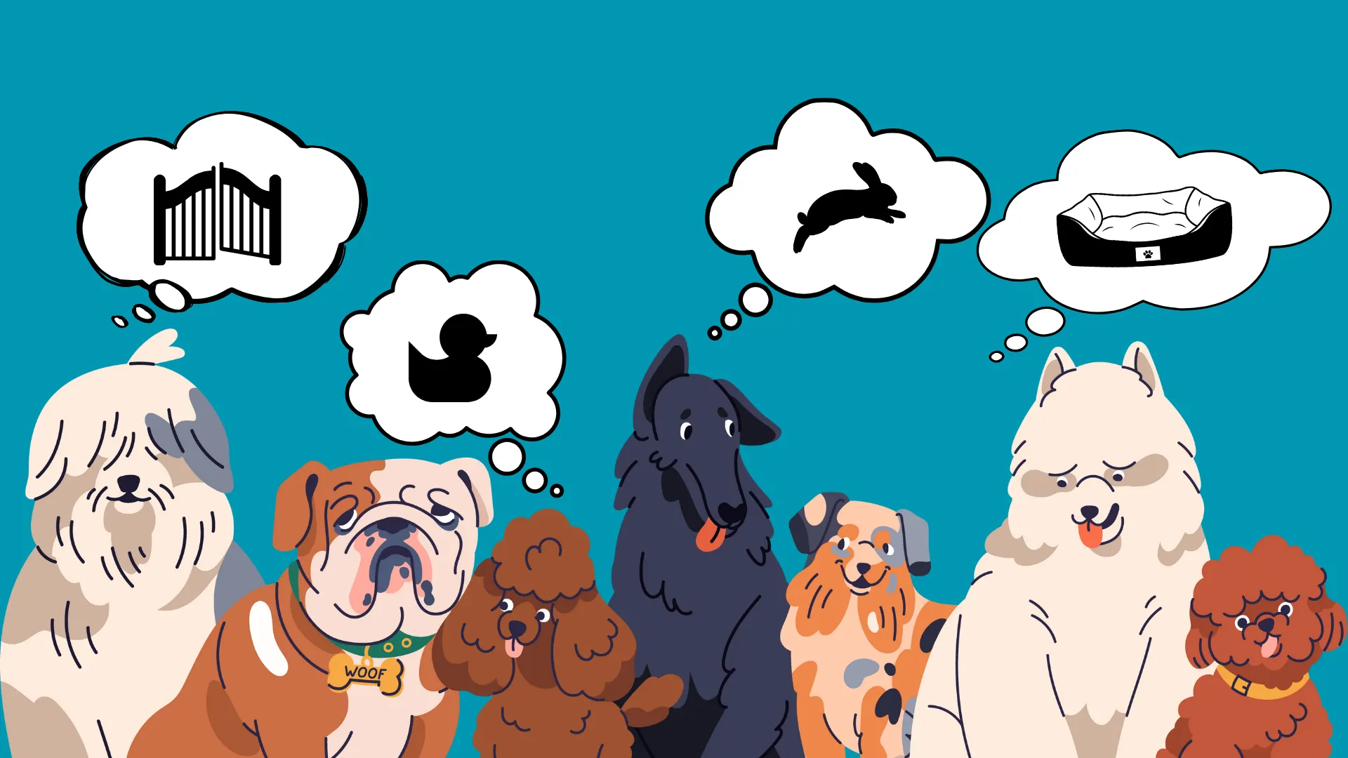 A cartoon drawing of seven different dog breeds, including a bulldog and poodles, sitting together. Above their heads are thought bubbles containing a gate, a rubber duck, a running rabbit, and a dog bed, humorously illustrating what each dog might be thinking about.