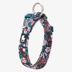 A studio shot of the Truelove floral dog collar against a white background. This collar features a vibrant dark teal fabric with pink and red flowers, a sturdy plastic buckle, an adjustment slider, and a large silver-colored metal D-ring for secure leash attachment.