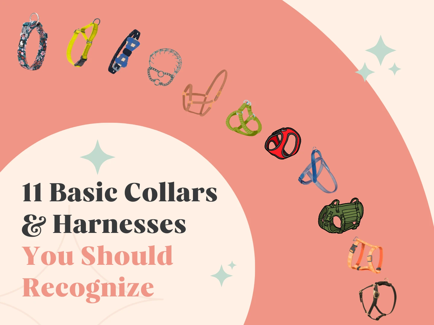 An illustration about the dog harness vs collar choice, displaying 11 different styles of collars and harnesses in an arc on a pink background. Text reads: "11 Basic Collars & Harnesses You Should Recognize."