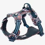 Adorable Dog Harness in Floral Pattern
